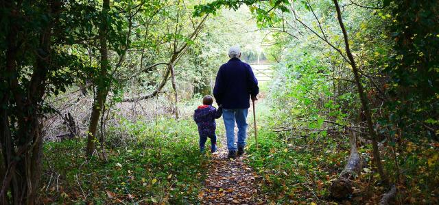 Old Man and Grandson in a Forest